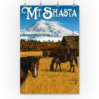Mt. Shasta View и коне
