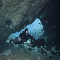 Технически пещерен водолаз, използващ задвижващ автомобил за водолаз, за ​​да се потопи в системата на пещерната система Blue Springs State Park близо до Мариана, Флорида. Печат на плакат