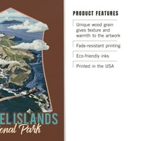 Национален парк на Channel Islands, Калифорния, Гледане на птичи поглед, живописен сериал, контур бреза дървена стена