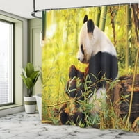 Панда душ завеса, голяма панда седнала гора яде бамбуков ствол на зеленина на зеленина от печат от печат, плат за плат, декор за баня с куки, 72x72, зелено черно